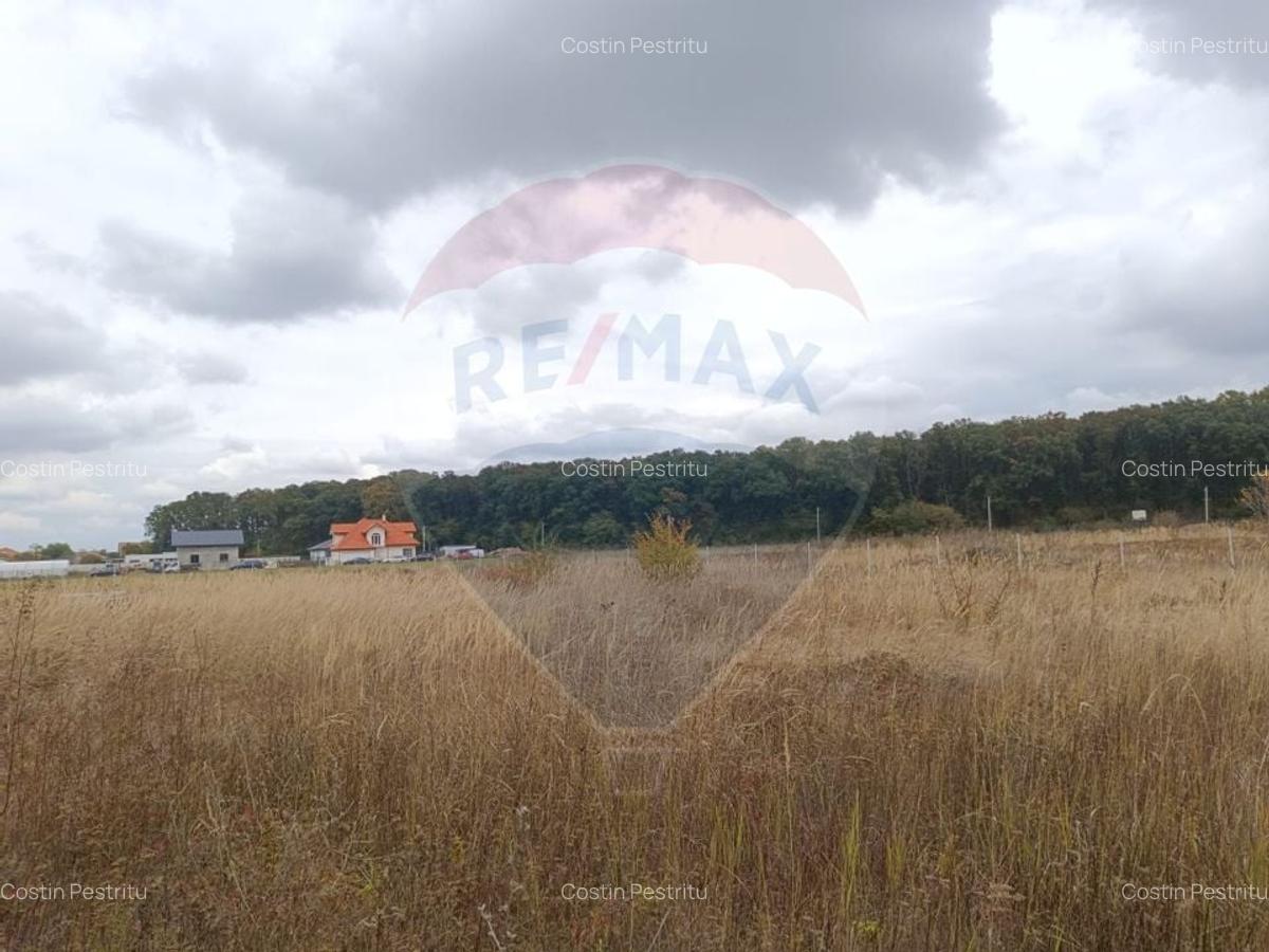 Teren 1,500mp Ghermanesti / Strada Cetatea neamtului - 10
