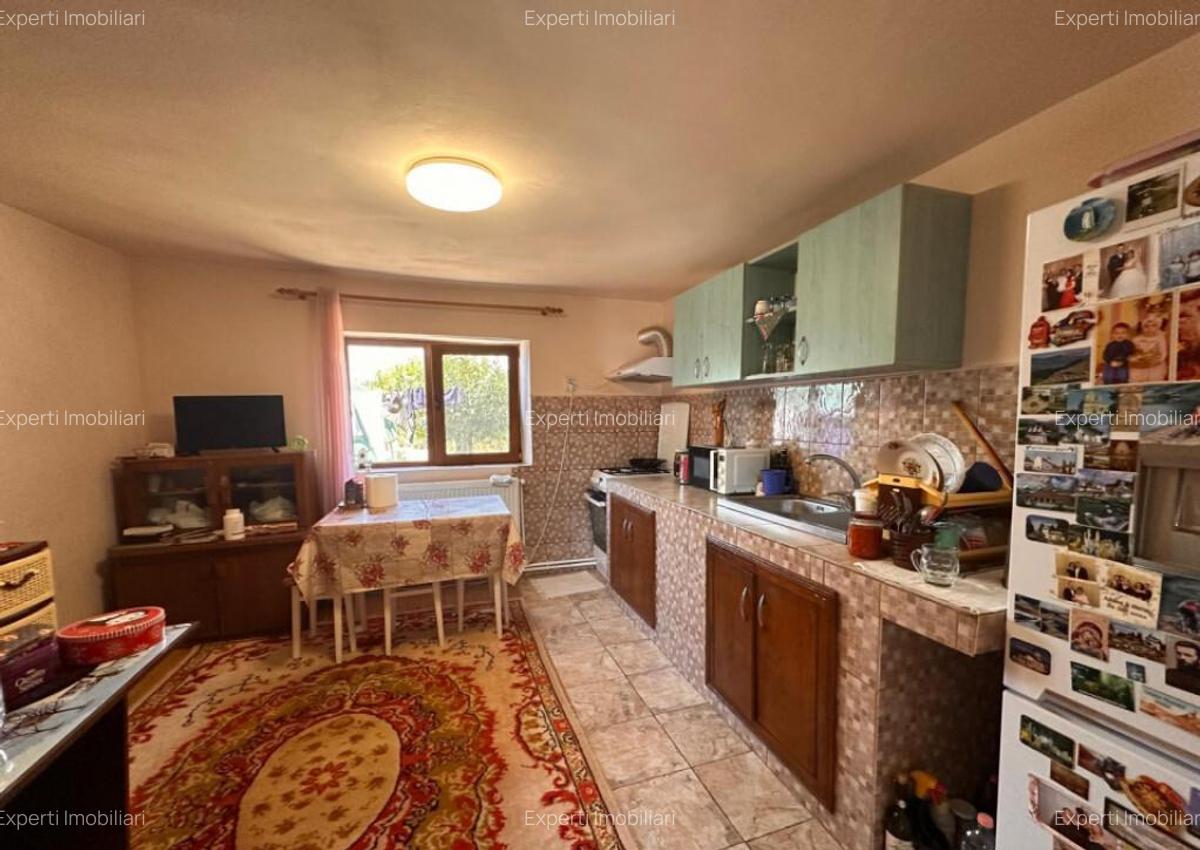 Casa in centrul Cobadinului - 18