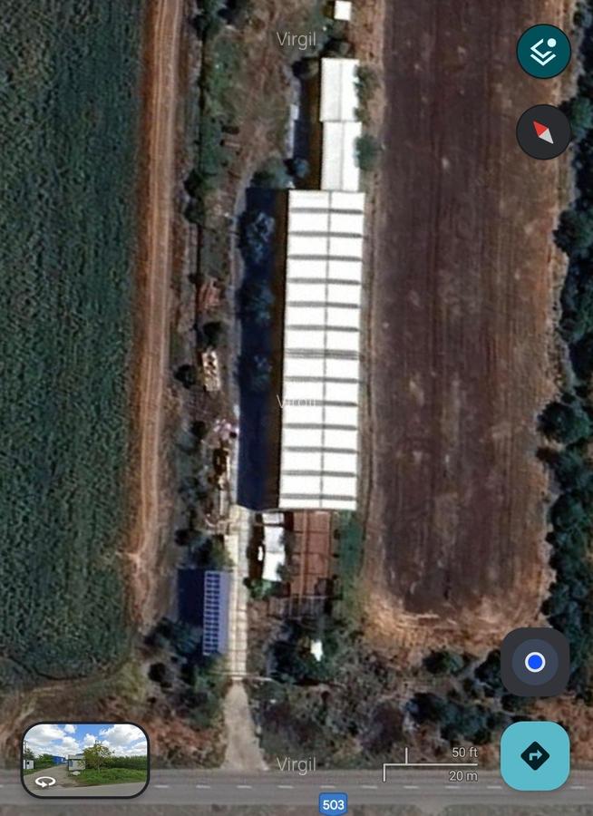 HALA INDUSTRIALA 1300mp H9m-pod rulant 5T - 3