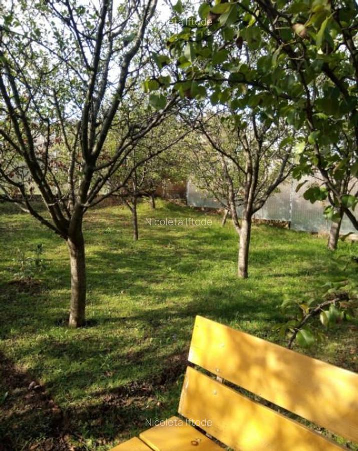 Teren intravilan 500 mp Rediu la 150 ml de soseaua principal - 1