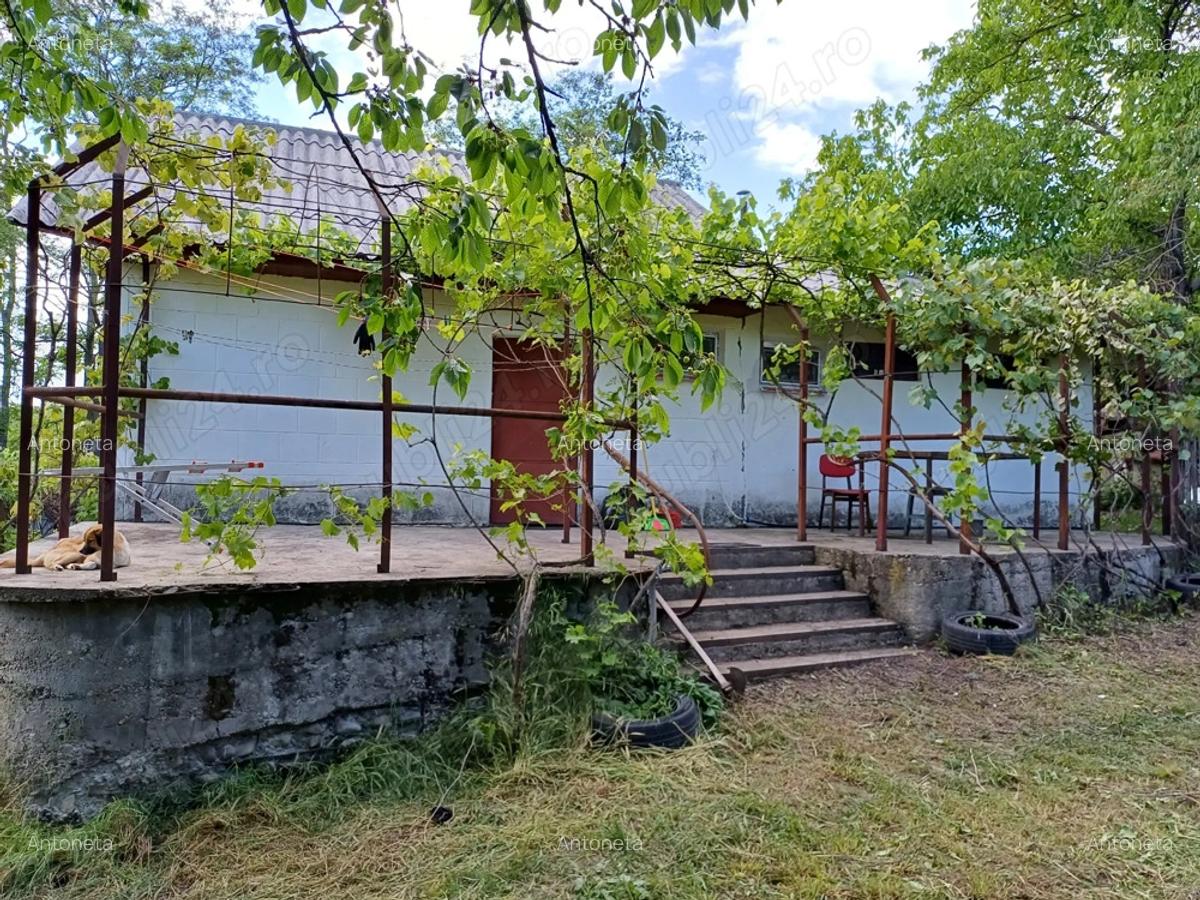 Vand casa Vrancea - 8