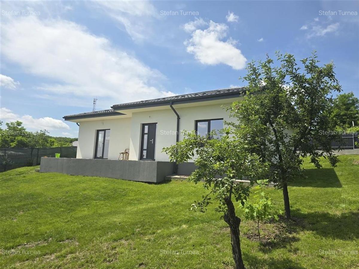 Casa  - Panoramic Probota - 2