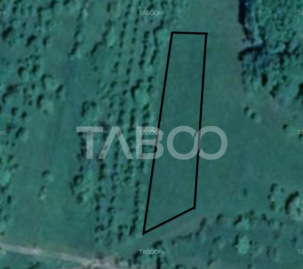 Teren pretabil cabana sau gradina 1670 mp zona deosebita Sib - 2