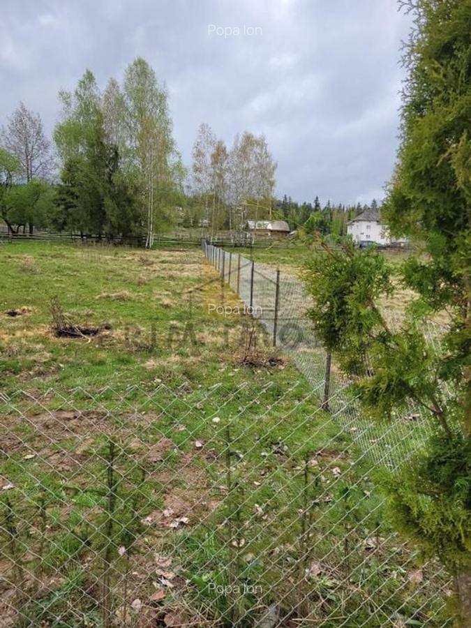 Teren Saru Dornei / Neagra Sarului - oportunitate investitie - 2