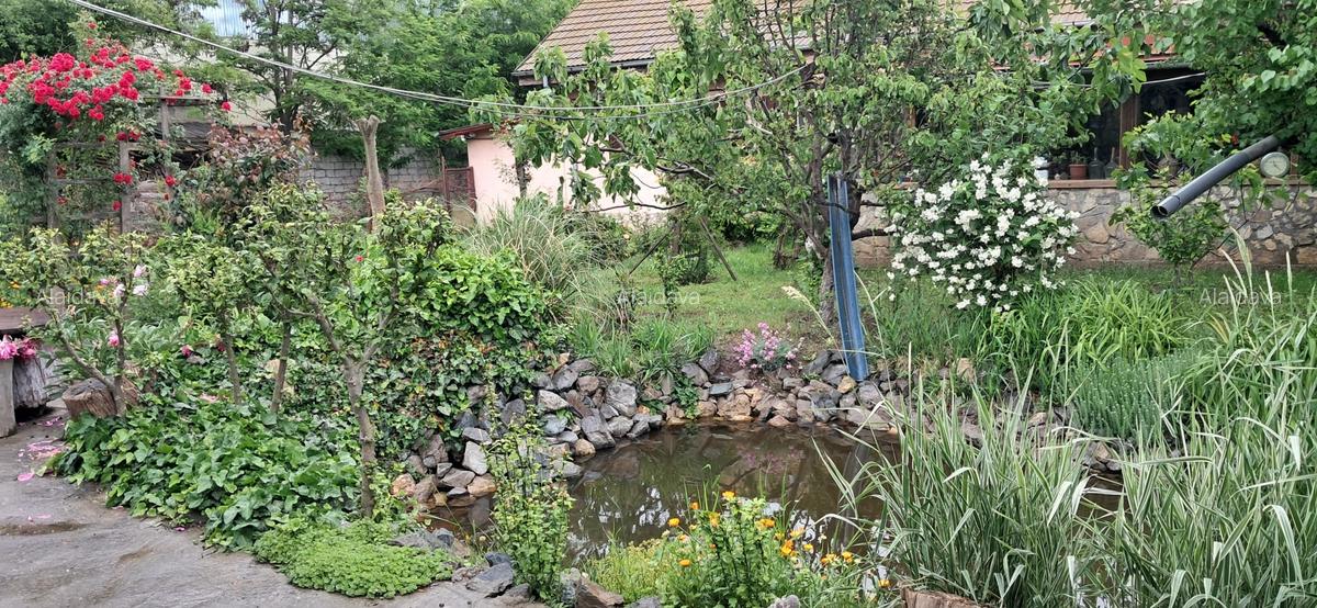 Lumina-teren 4297mp cu deschidere la DN - 3 Lumina-teren 4297mp cu deschidere la DN - 3