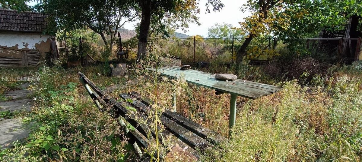 ?  Casă de Poveste în Șiria, Arad- Locație Rară - 18