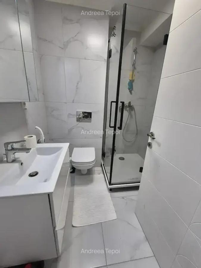 Studio / Piscina / Padurea Baneasa / Iancu Nicolae - 12