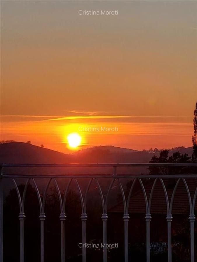 Acasa in Apuseni - 13