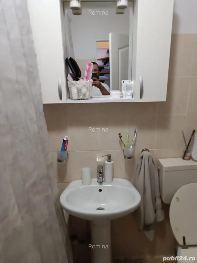 Vand mansarda terezian - 5 Vand mansarda terezian - 5