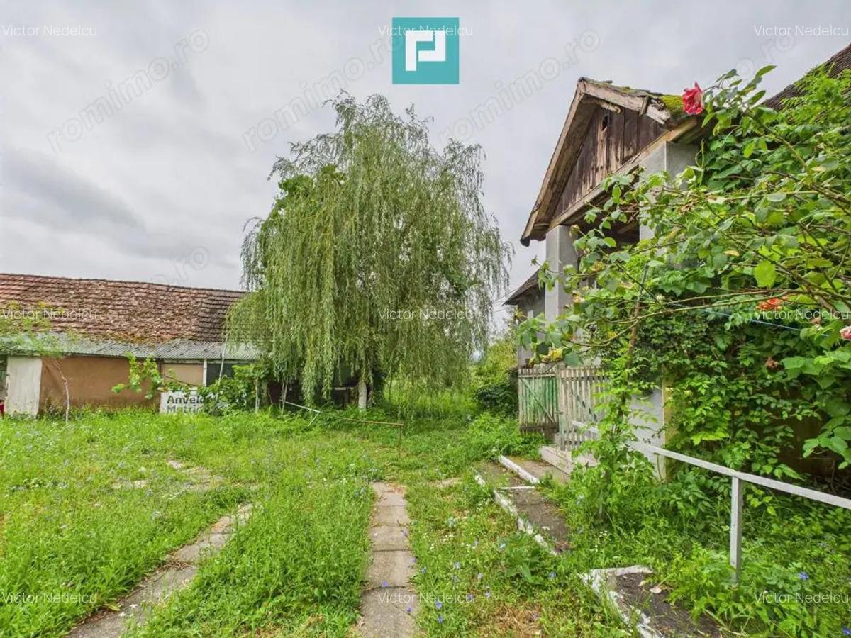 Casa traditionala cu anexe in ODVOS, comuna Conop. - 8