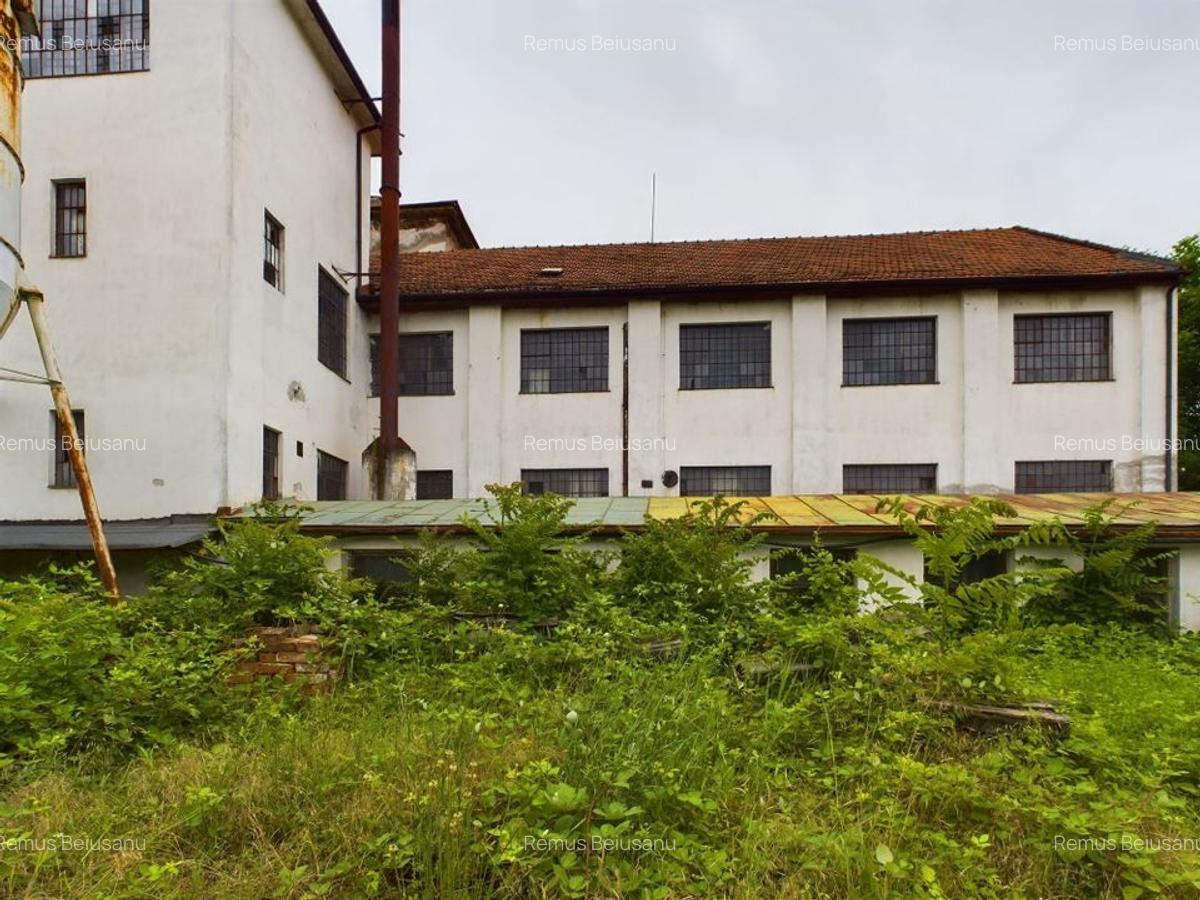 Ansamblu clădiri zona Iosefin-Dâmbovița - 13