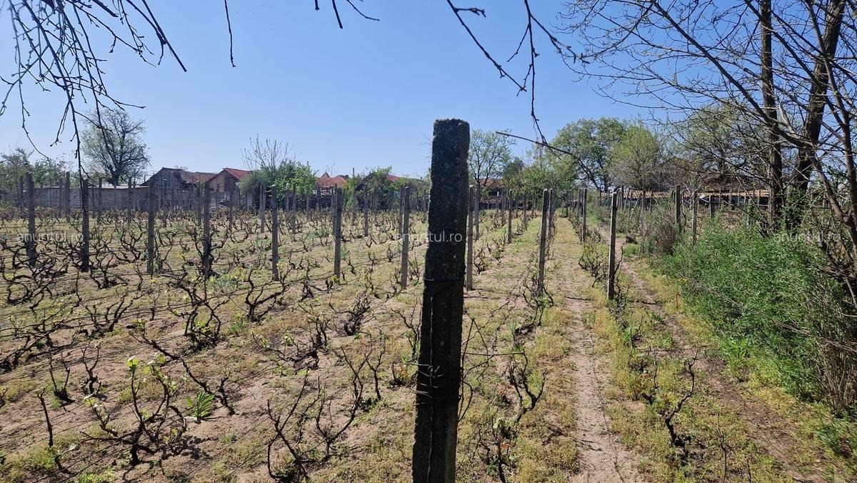Casa de vanzare comuna Ianca judetul Olt - 9