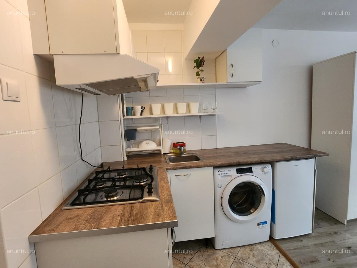 Ion Brezoianu, Cismigiu, Universitate Garsoniera de inchiriat - 13