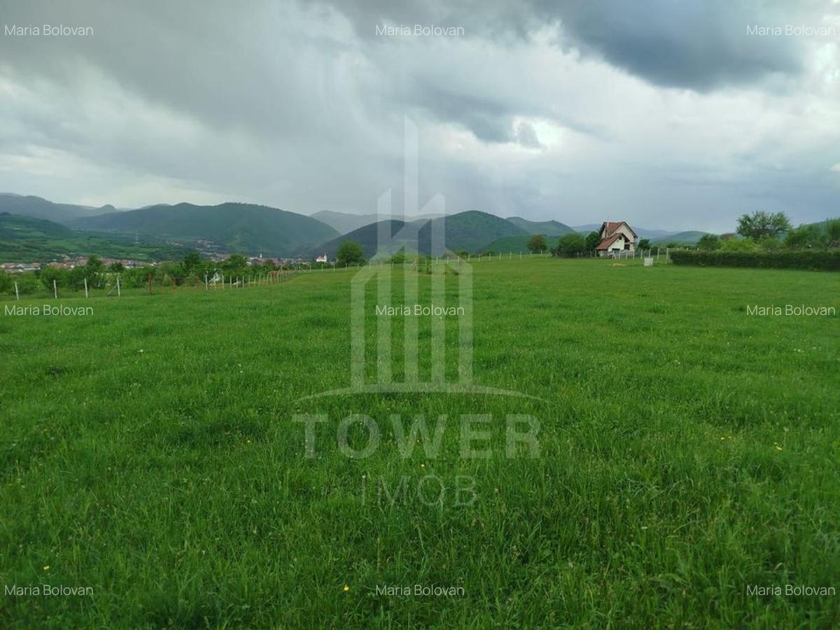 Teren de vinzare in Tropini Vechi - 1