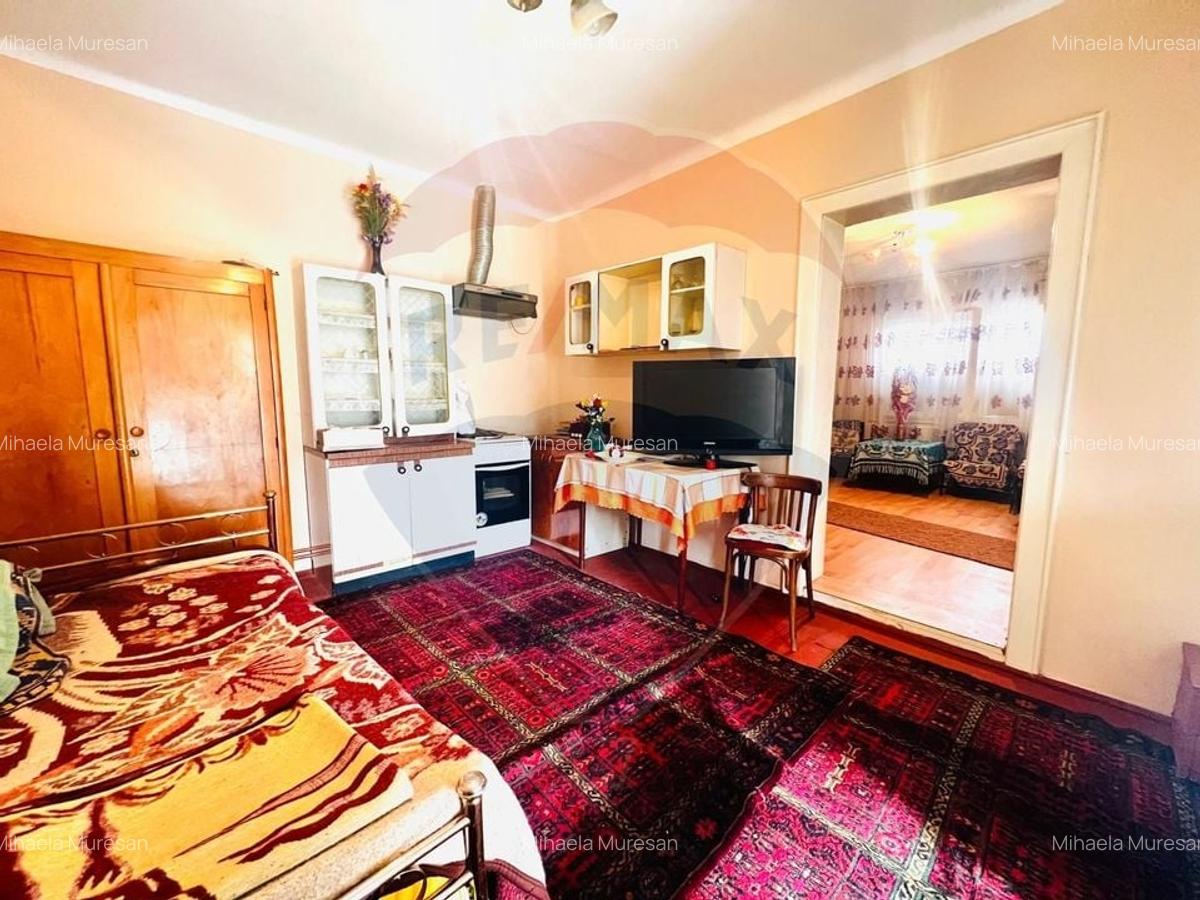 Casa 4 camere 1672 mp teren in Horia - 9