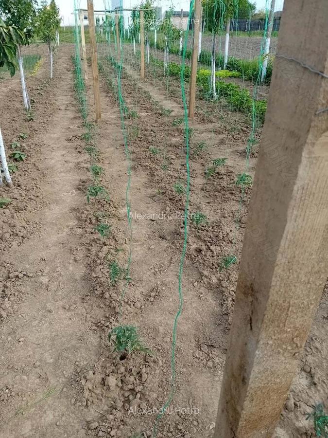 Teren +casa de vacanta - 6 Teren +casa de vacanta - 6