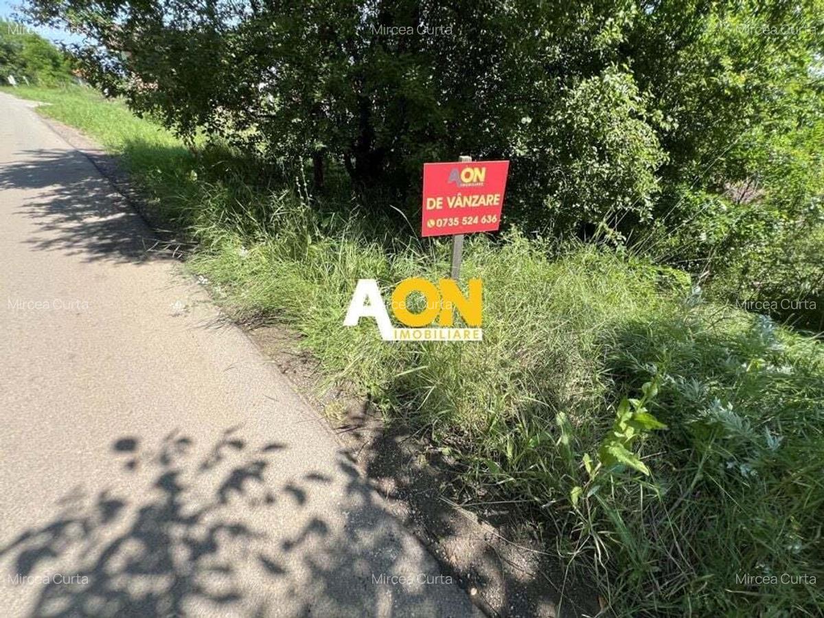 Teren de vanzare cu toate utilitatile si asfalt, 1001MP - 3