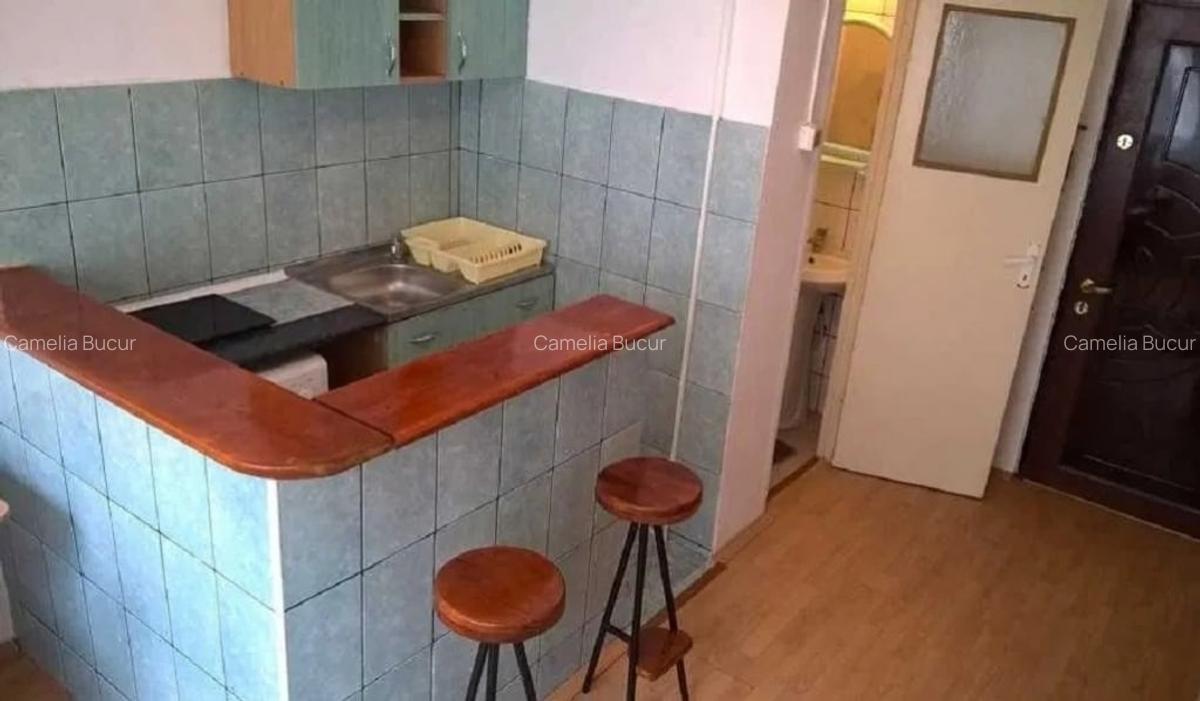Garsoniera - zona Podu Ros - Piata Nicolina - 3