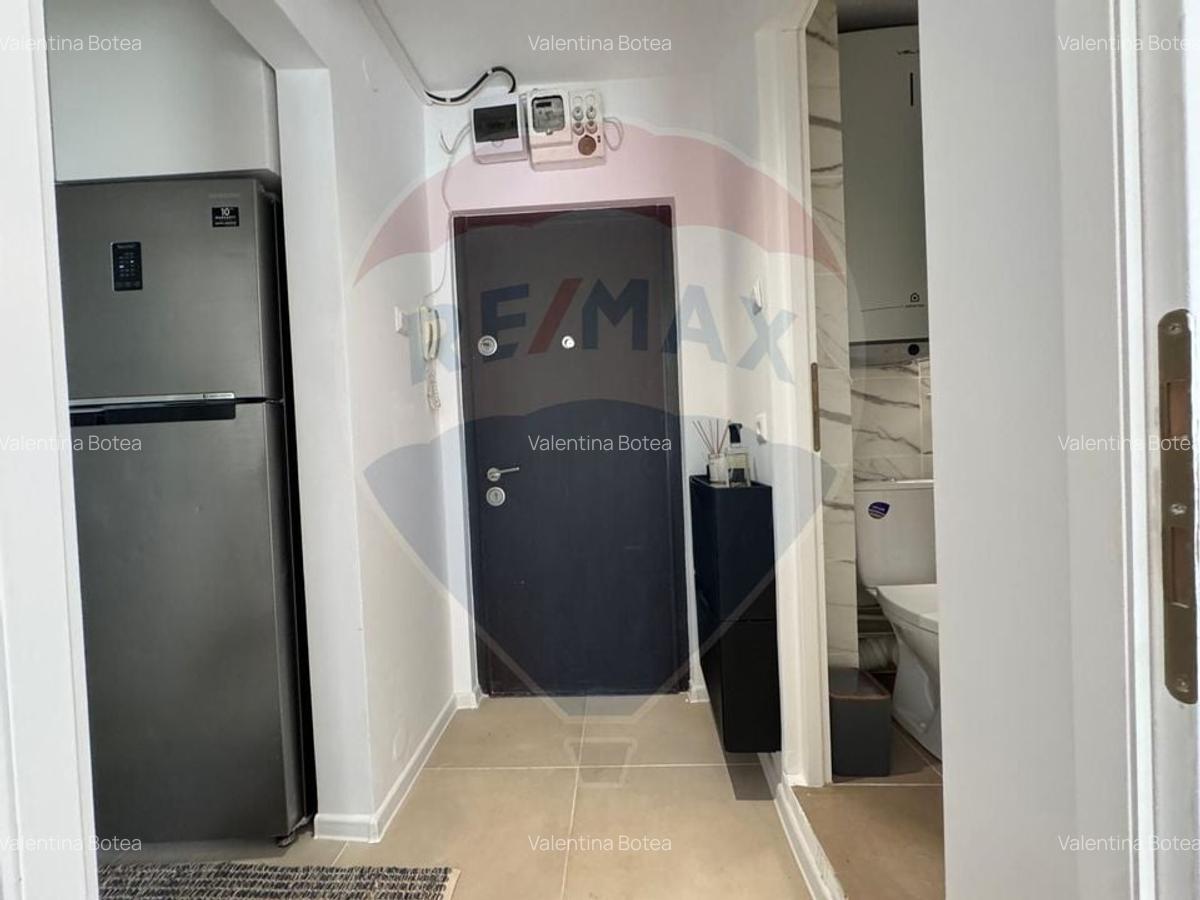 Apartament 2 camere | Drumul Taberei - Raul Doamnei | Mobilat - 11
