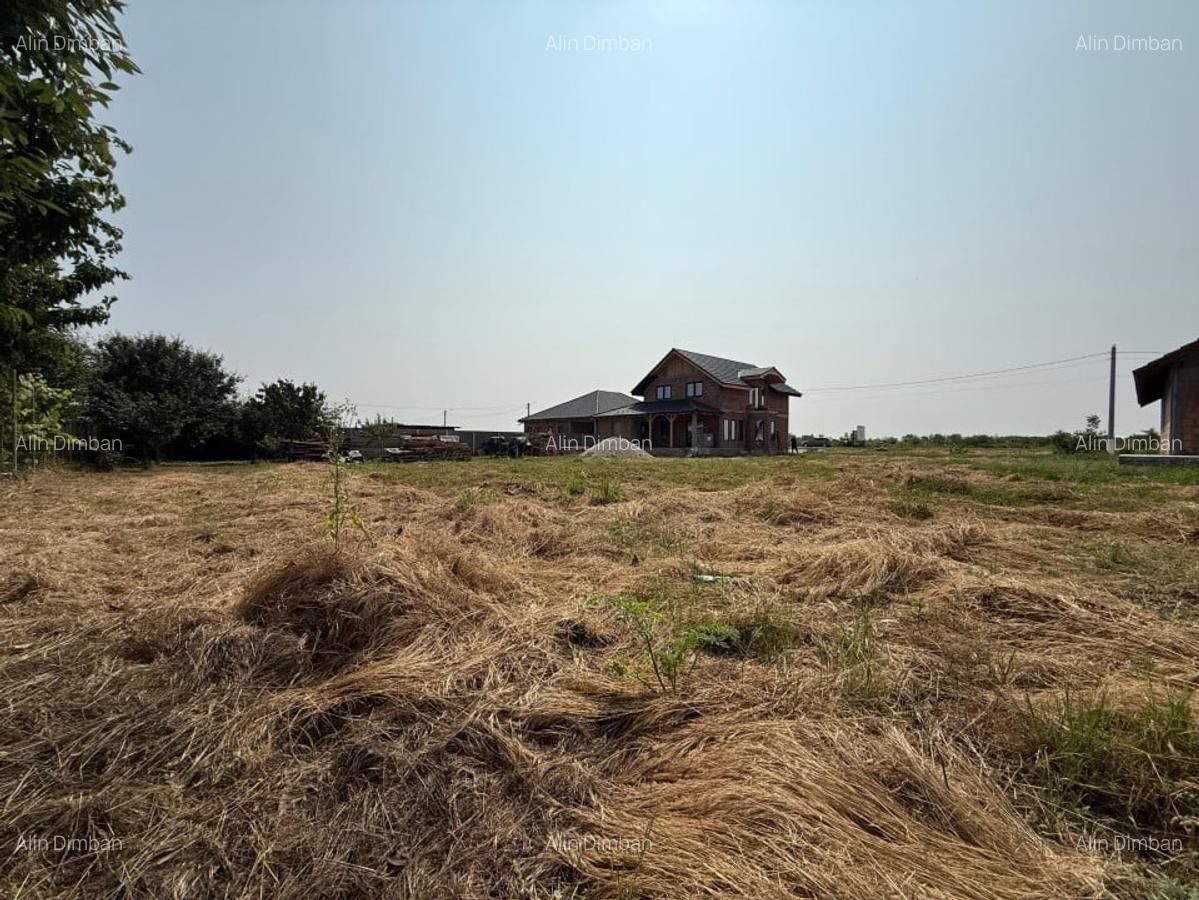 Inchiriem viitorul pe metru patrat, teren 800 mp, intravilan-Peciu Nou - 3