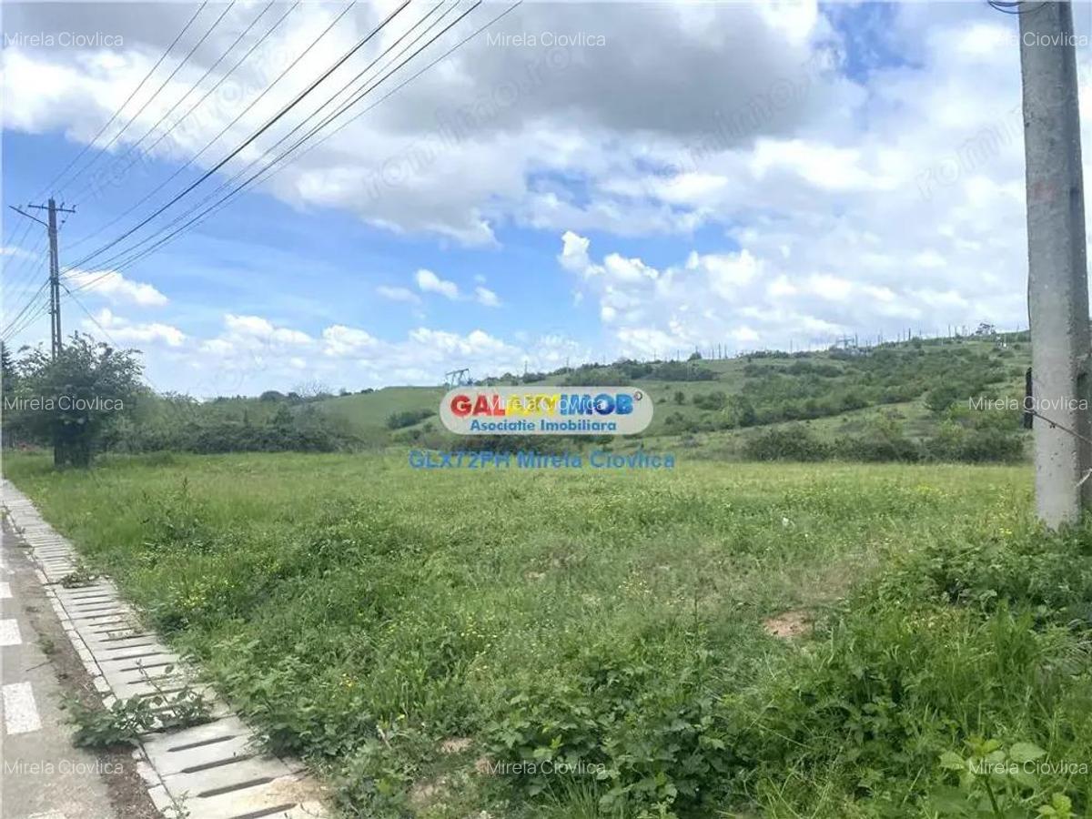 Vanzare teren intravilan Baicoi zona Tintea - 5 Vanzare teren intravilan Baicoi zona Tintea - 5