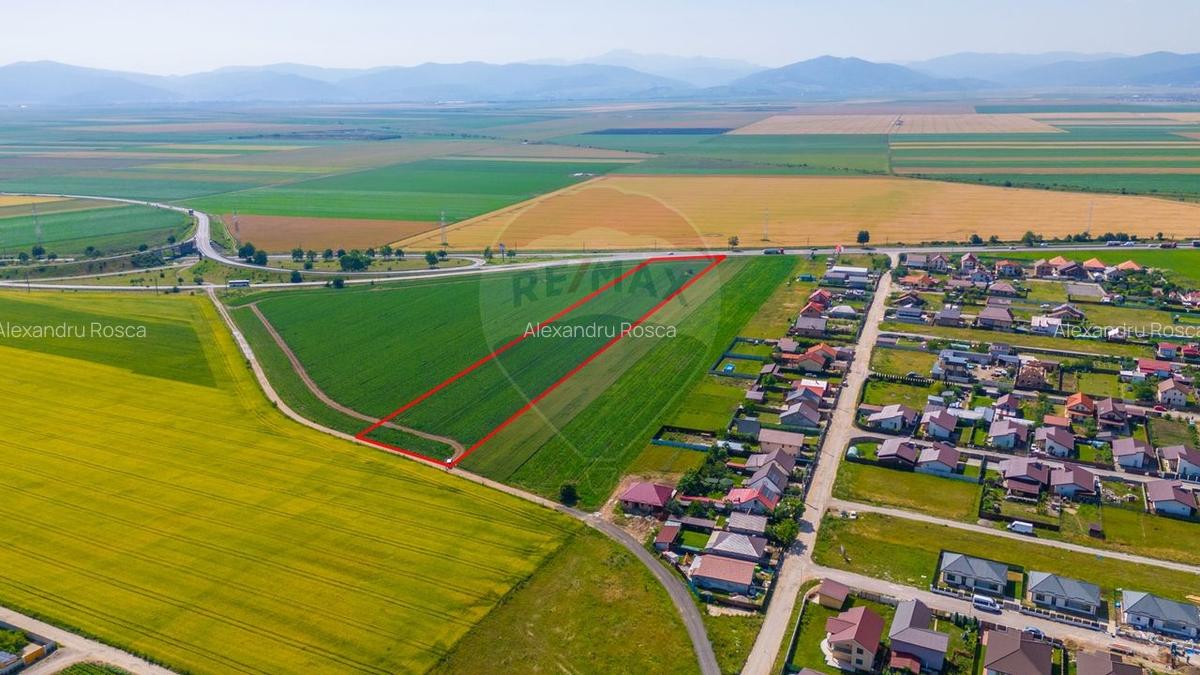 Teren Intravilan pentru dezvoltare imobiliara 15.600mp/Harman - 4