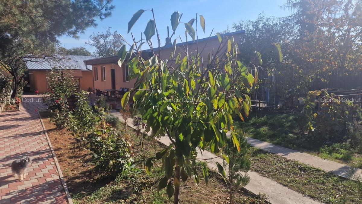 Casa de Vanzare in orasul Chitila - 2