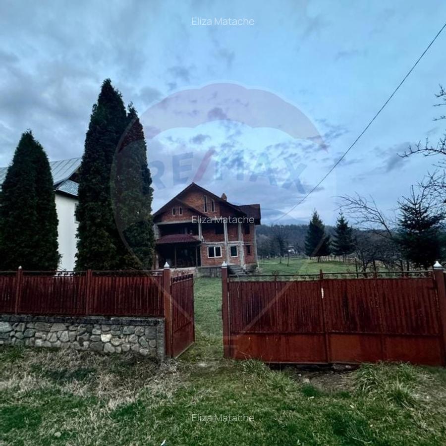 Casa de vis Valea Silistii - spatiu generos, natura si liniste deplina - 16