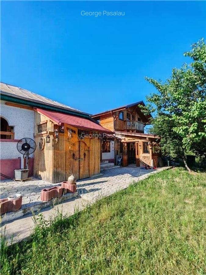Teren intravilan + casa zona Fintesti - 12