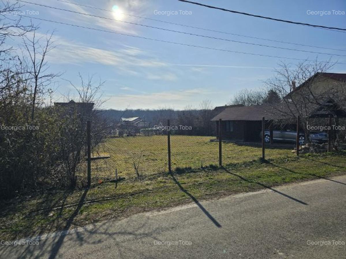 Teren intravilan 1056 mp cu cabană 44 mp, Pasărea – Brănești (Ilfov) - 2