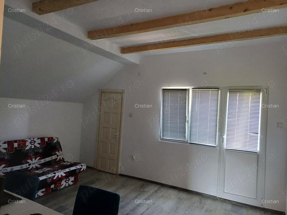 Casa de vacanta Lac Surduc - 1