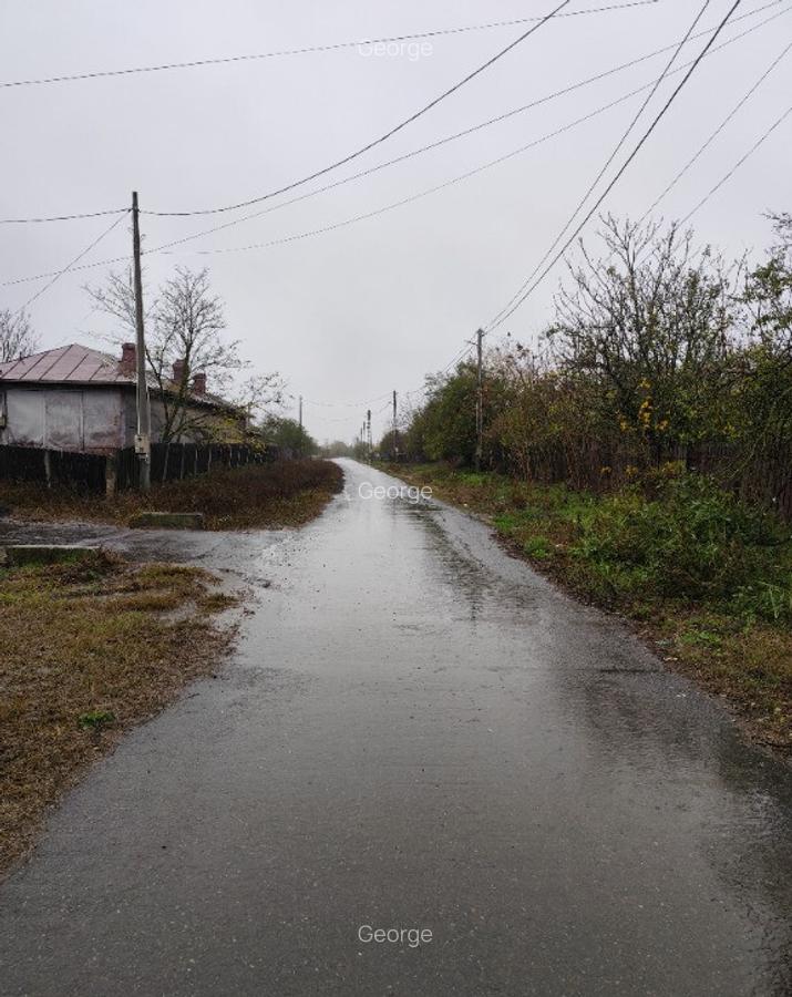 Casa batraneasca plus teren 1600mp Toporu jud. Giurgiu - 4