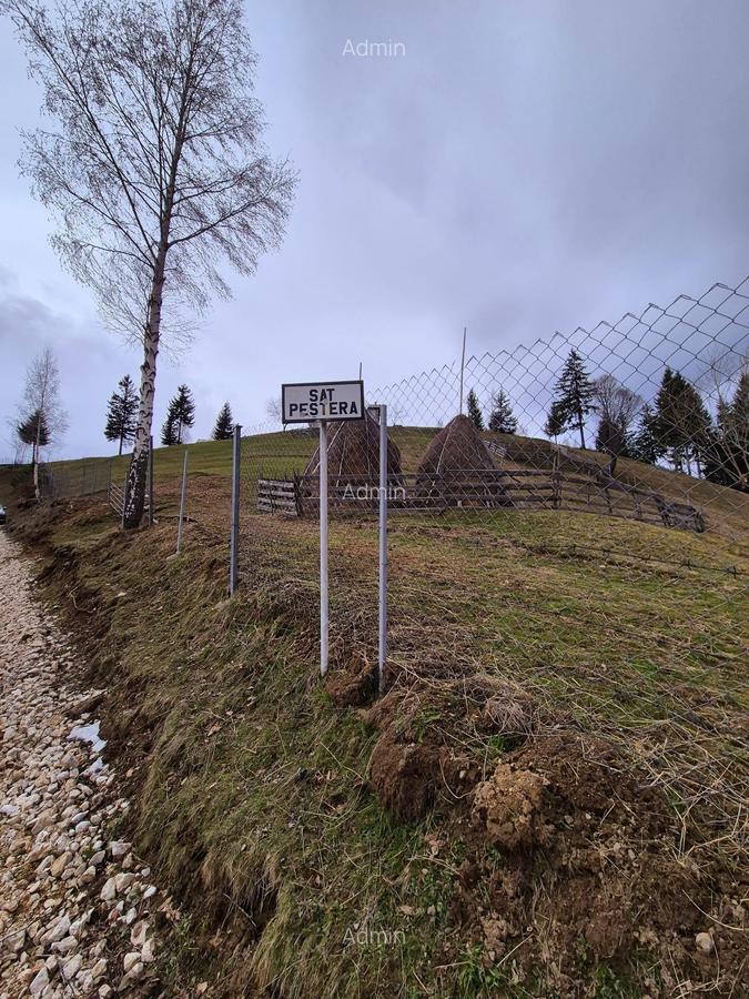 Teren cu energie speciala, Pestera/ 13570mp extravilan/Comision 0 % - 5