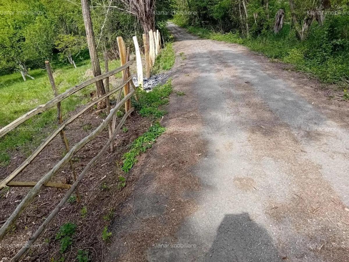 Teren de vanzare in Bradulet Arges - 11