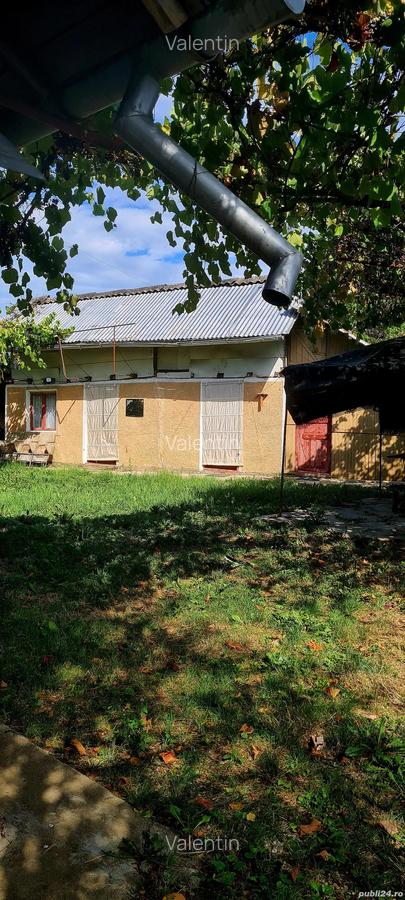 Teren cu casa in Cobia - 6