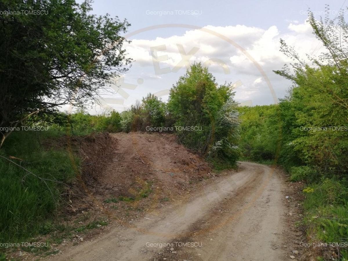 Teren 2000 mp intravilan Smeura-Mosoaia. Comision 0% - 4
