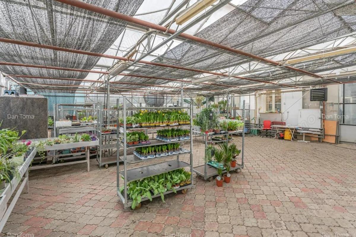 CASA BARTOLOMEU- sediu firma/ comercial/ servicii- zona circulata - 12