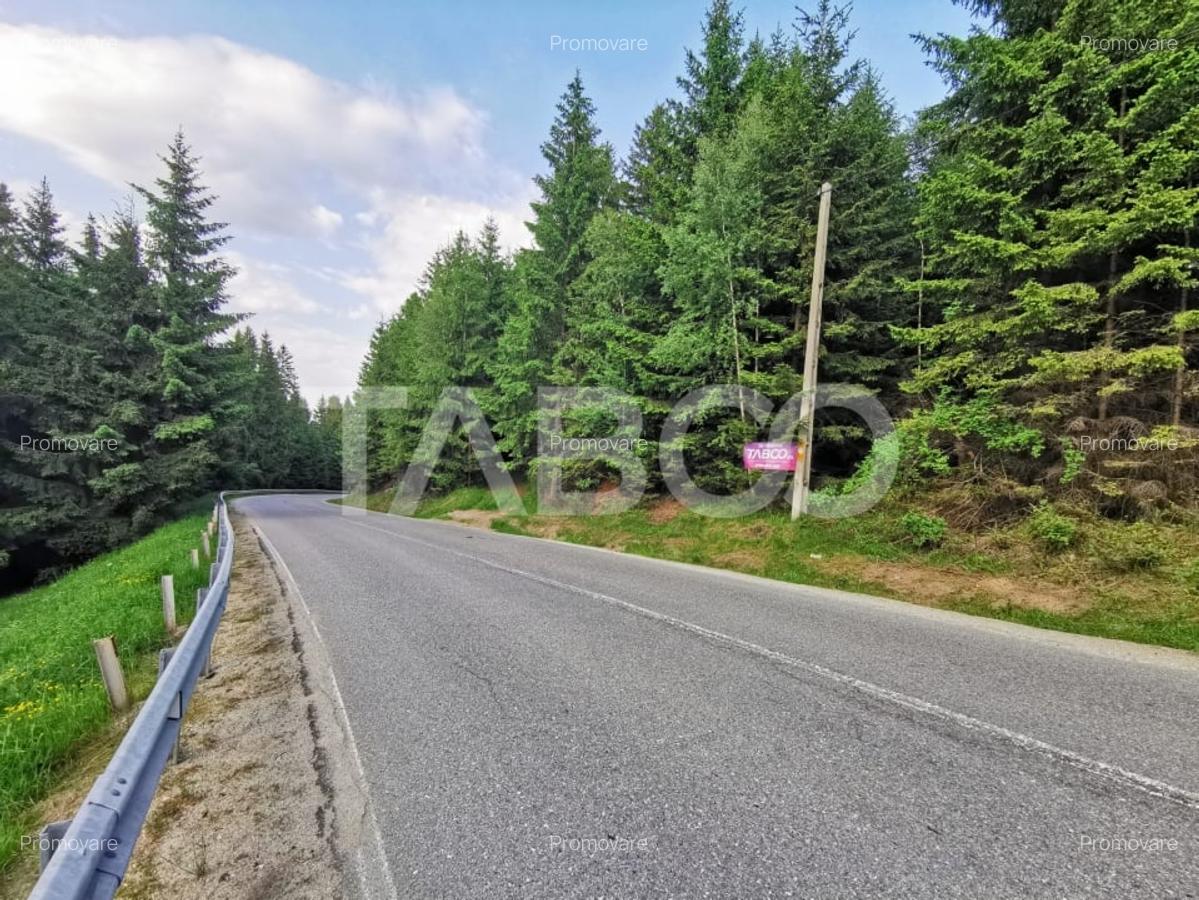 Teren cu puz intravilan in localitatea Paltinis din judetul Sibiu - 8