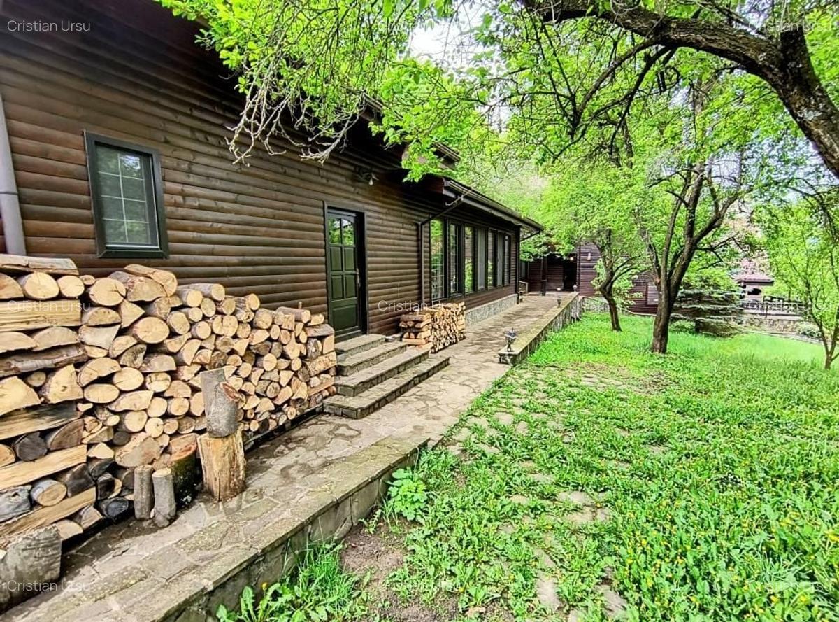 Casa de vacanta deosebita Breaza- Nistoresti - 33