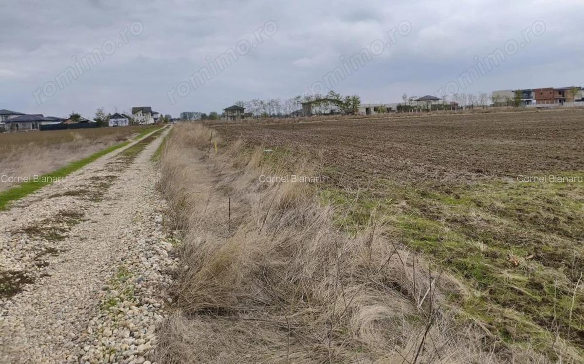 Teren 539 mp, utilitati la lot, rate fara dobanda - Vidra - 3