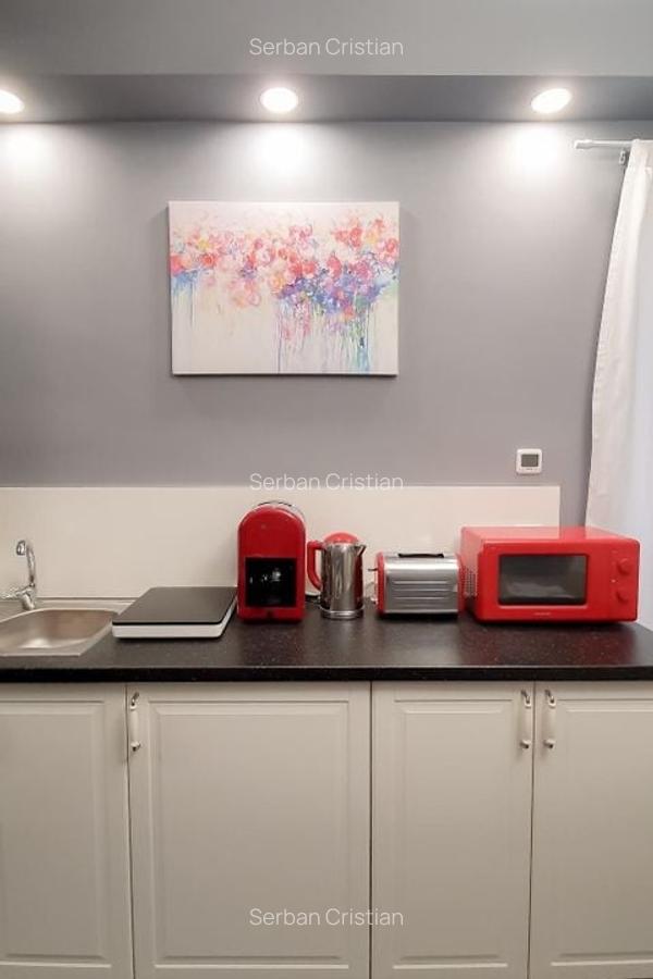 Universitate apartament 5 camere 220 mp de inchiriat - 19