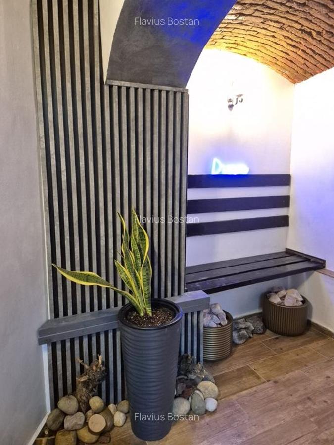 Str Lunga, zona Mielul Alb, spatiu comercial de 82mp tip crama, 129900 euro - 11