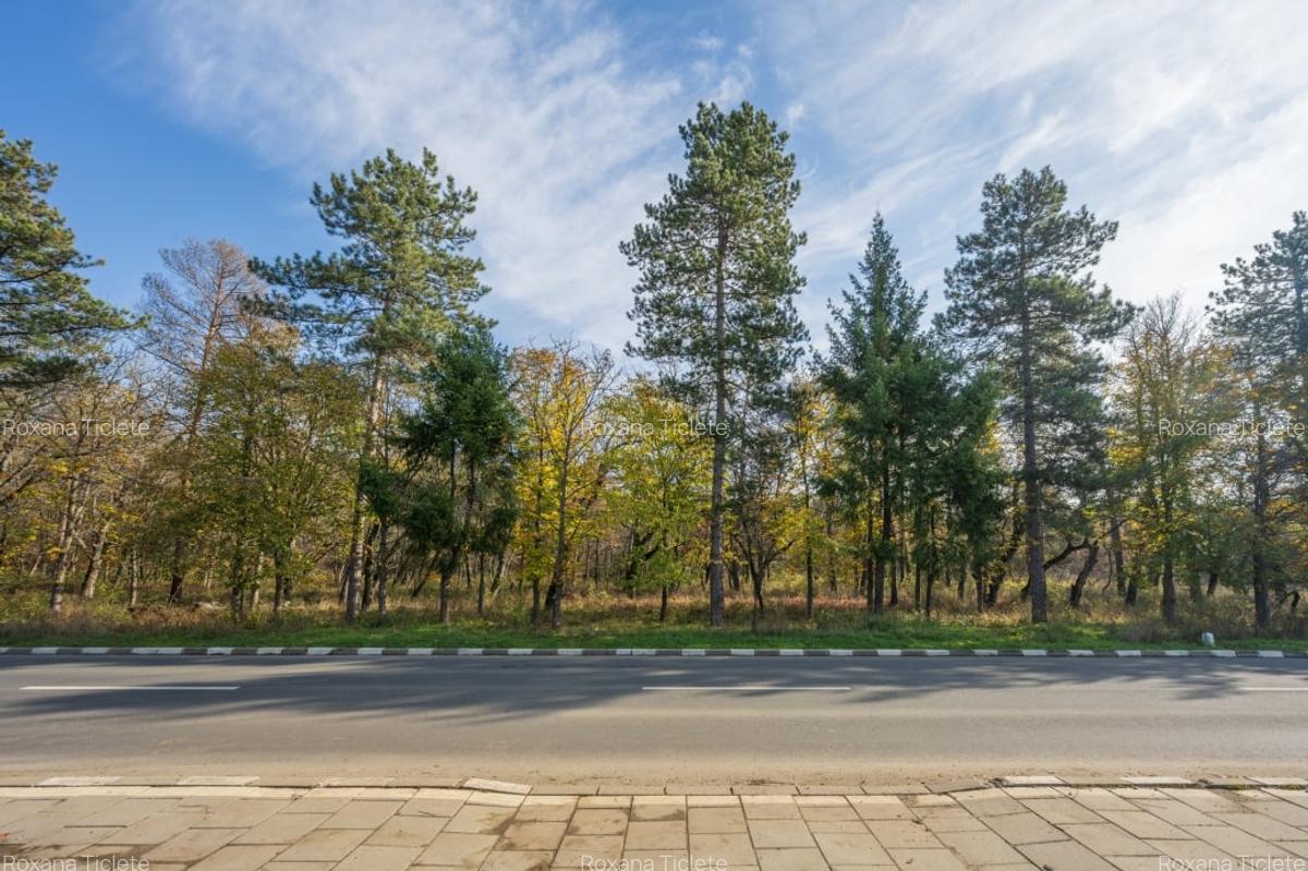 SNAGOV – CENTRAL, CASA 144 MP, LOT 1000 MP! - 29