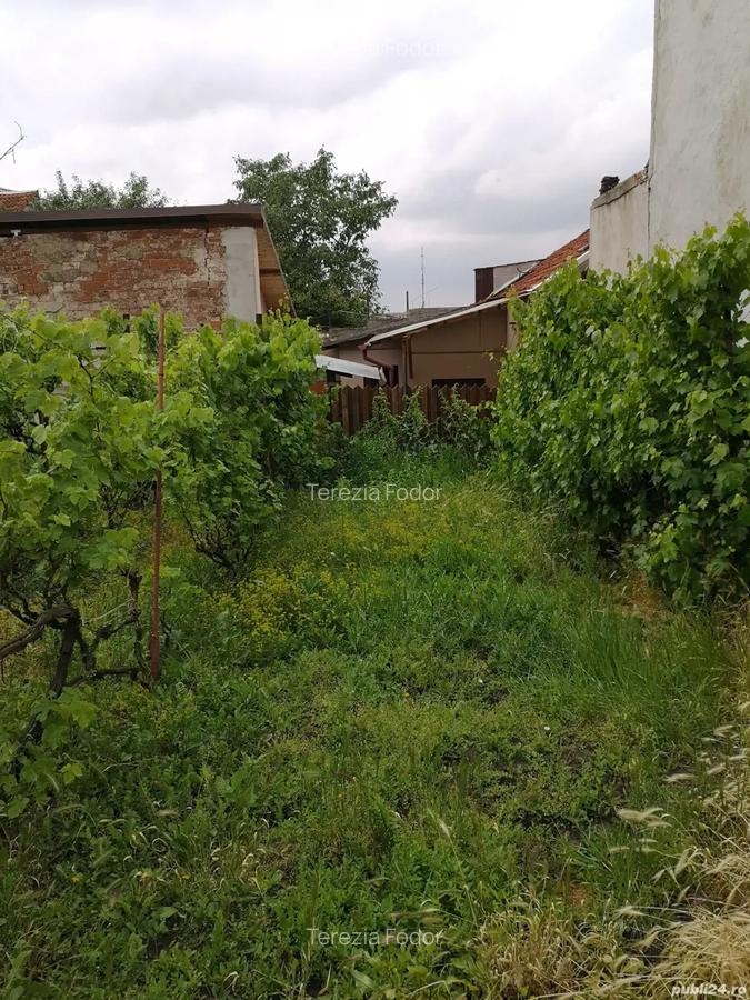 Casa de vanzare - 3