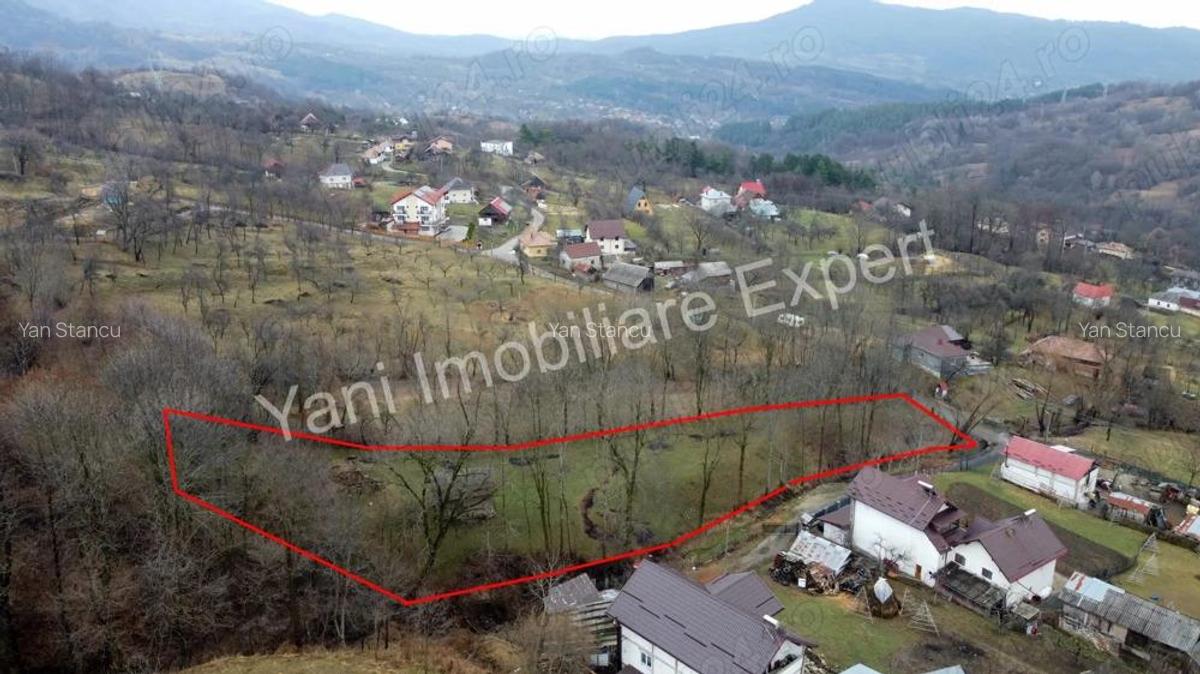 Teren de vanzare in comuna Arefu, jude? Arge?. - 7