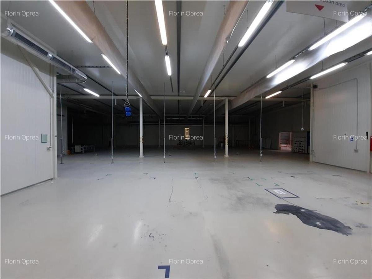 Spatiu Industrial - 1770 mp - Productie - Depozitare - Distributie - 12