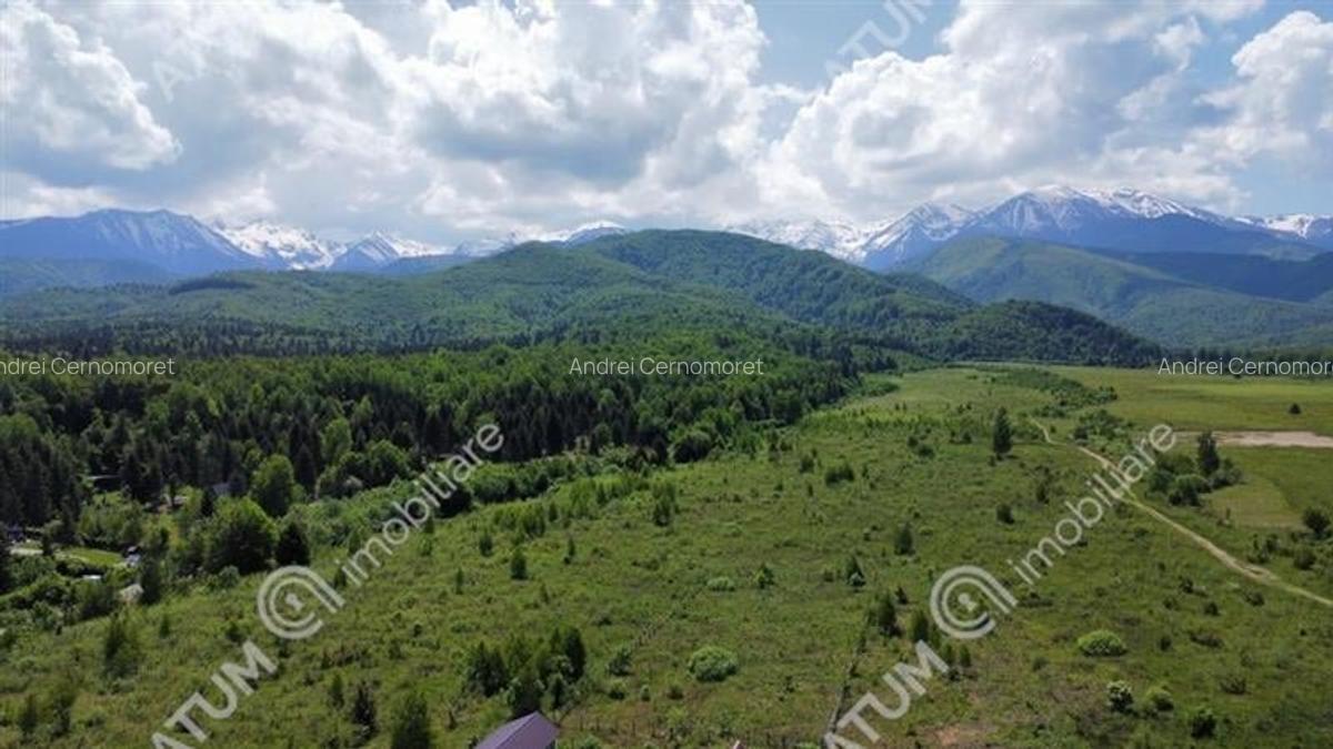 Teren Construcții intravilan de 3000 mp, în Central - 2