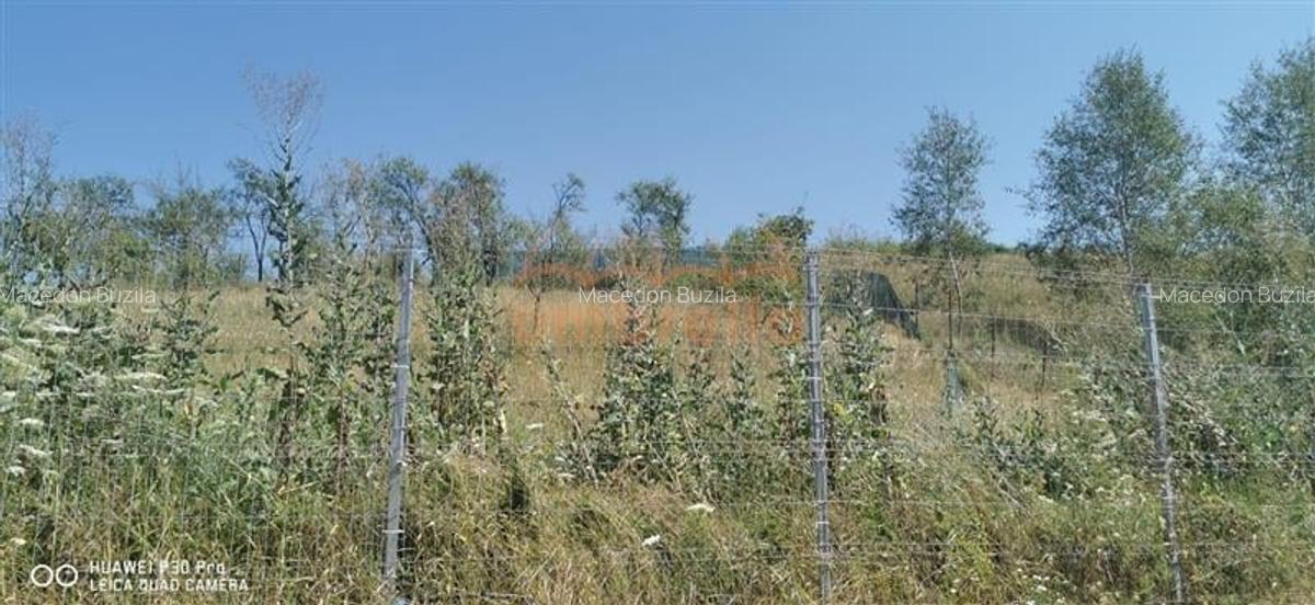 De vanzare casa si grajd +3000/? teren livada in Sumurducu - Sanpaul - 11