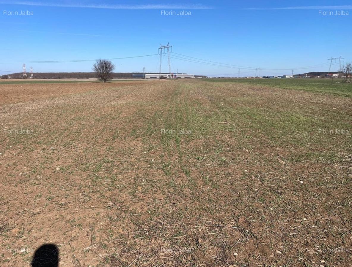 Vanzare | Teren Intravilan 5000 mp | Str. Viitorului | - 4