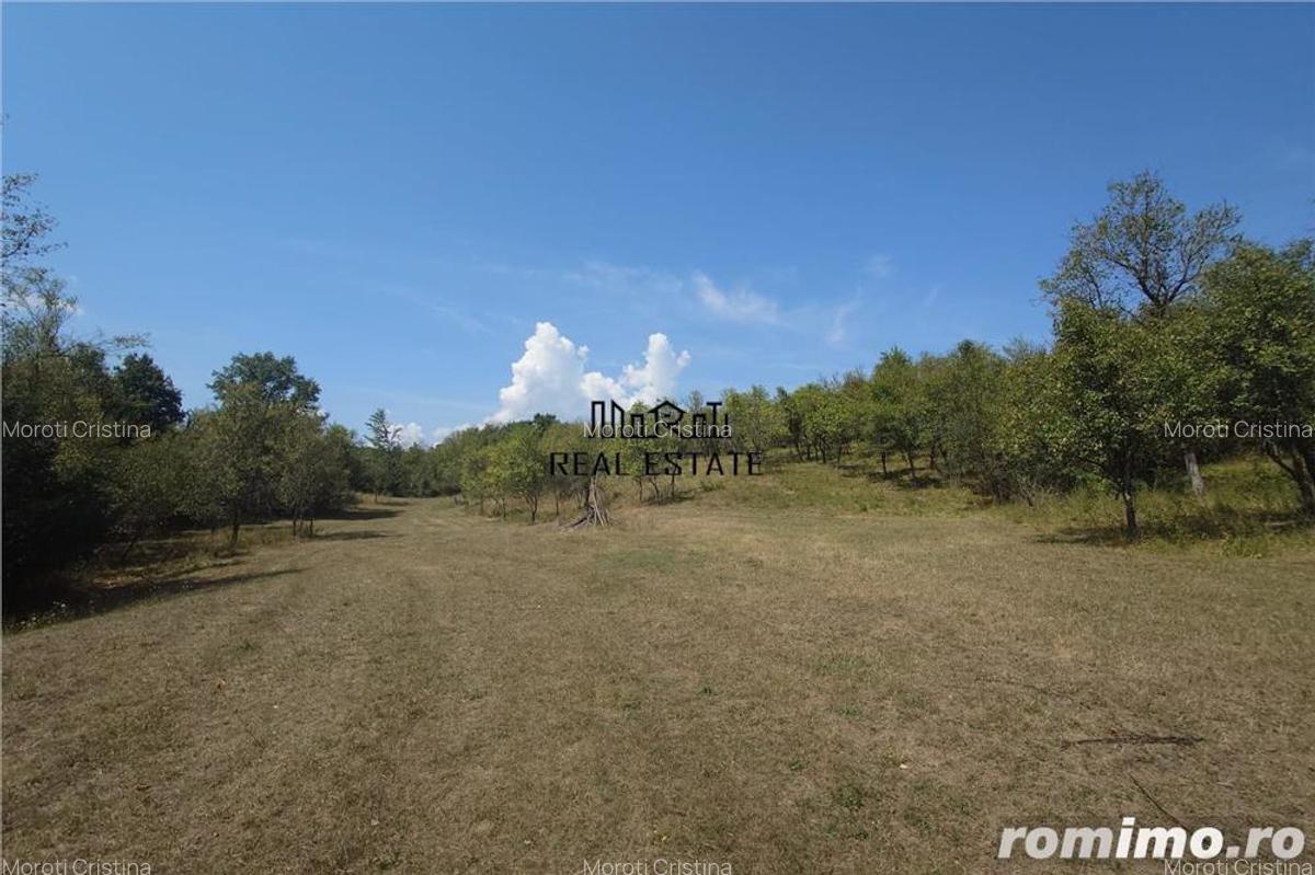 Teren in Apuseni Tebea - 13